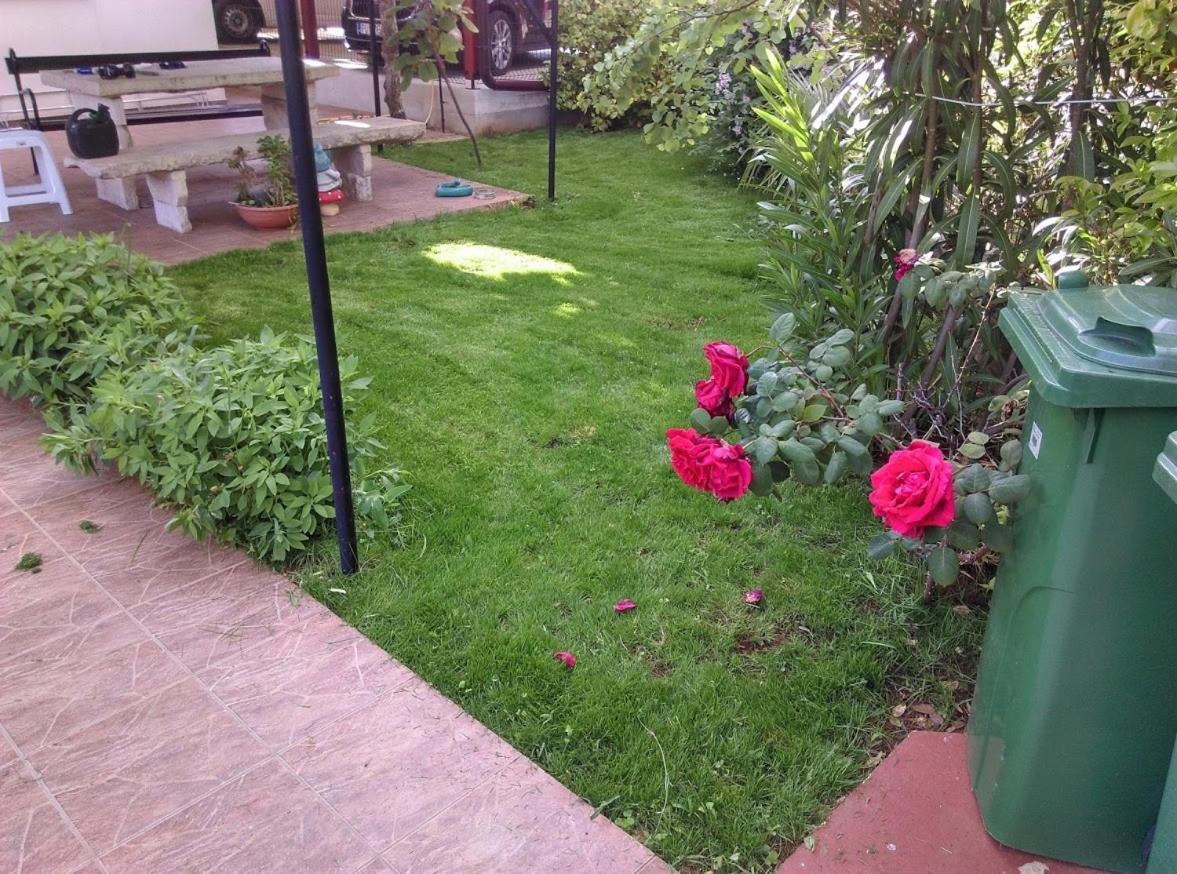 Apartment Casa Del Sol Novigrad Istria Εξωτερικό φωτογραφία