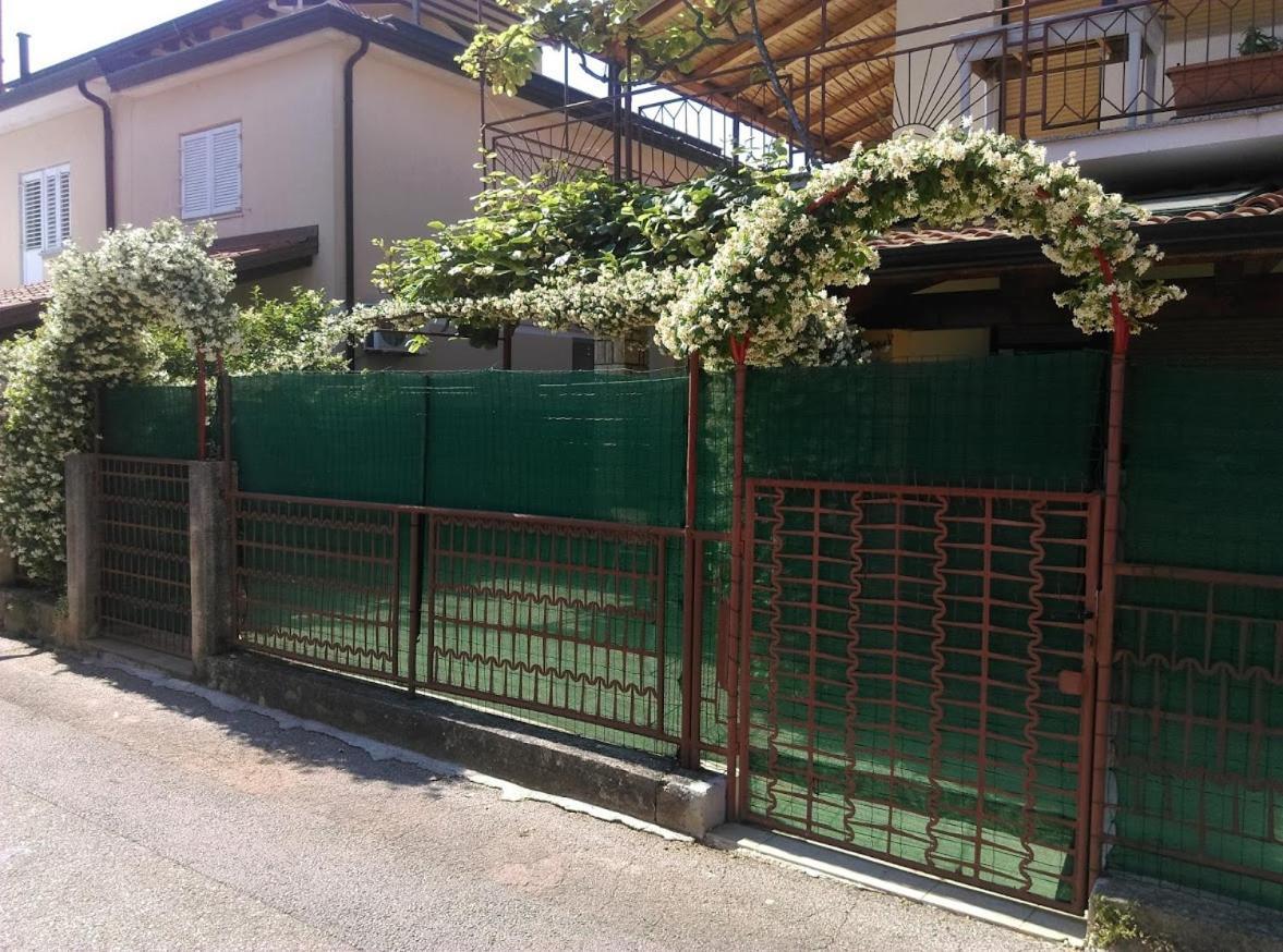 Apartment Casa Del Sol Novigrad Istria Εξωτερικό φωτογραφία
