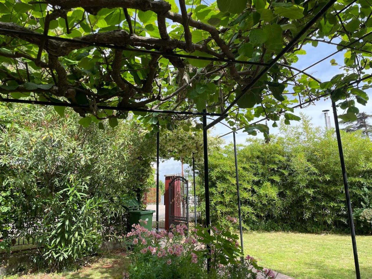 Apartment Casa Del Sol Novigrad Istria Εξωτερικό φωτογραφία